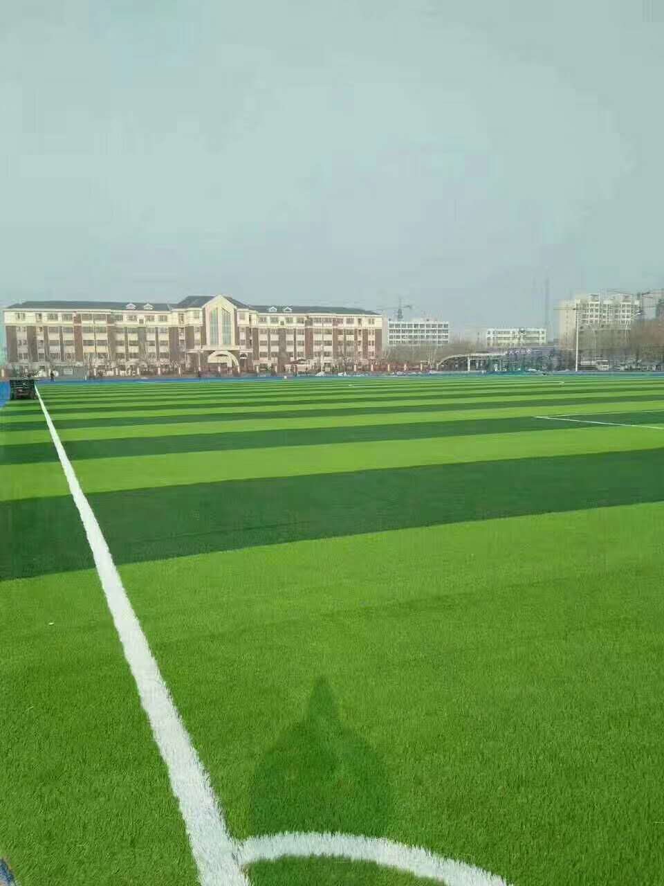 河池市epdm颗粒仿真草坪 - 排名